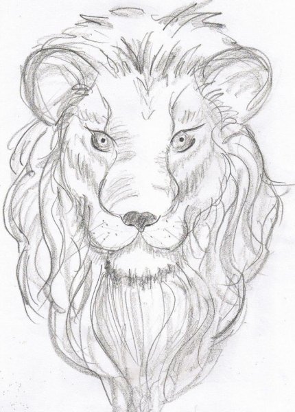 Лев рисунок карандашом для детей