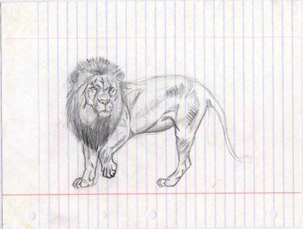 Рисунок Льва карандашом для срисовки