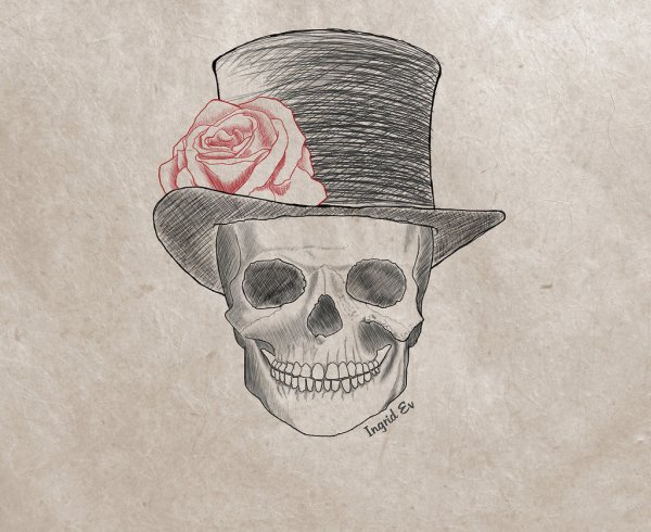 Рисунки карандашом черепа с розами