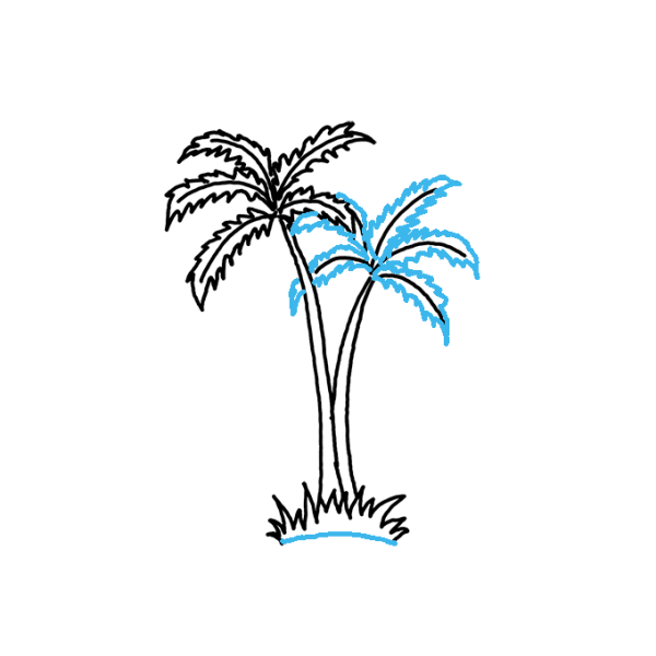 Пальма под наклоном рисунок