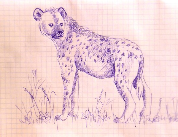 Животные ручкой синей