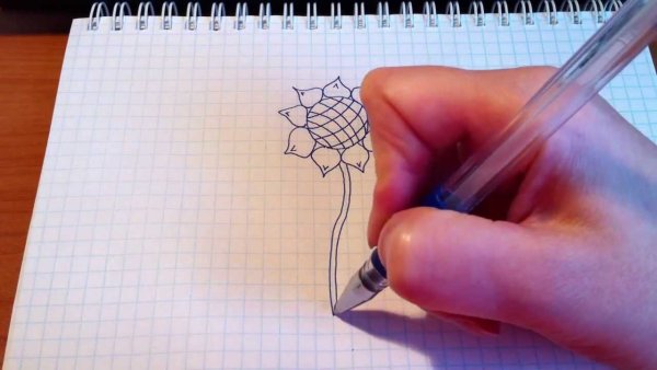 Рисунки обычной ручкой