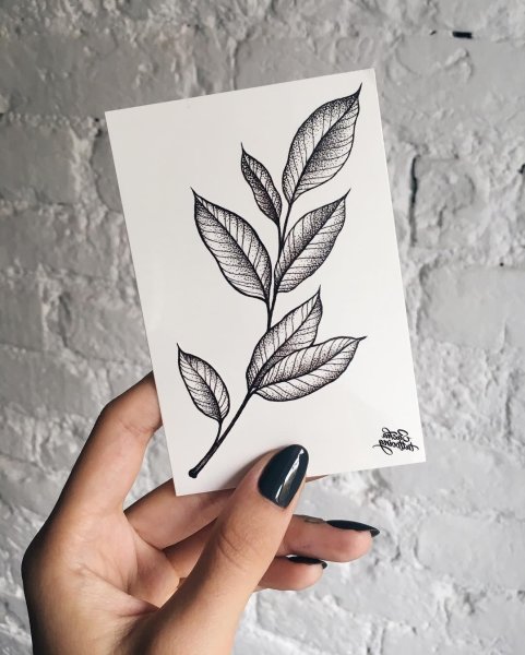 Тату листья эскизы