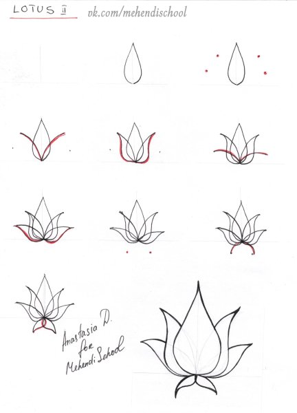 Поэтапное рисование лотоса