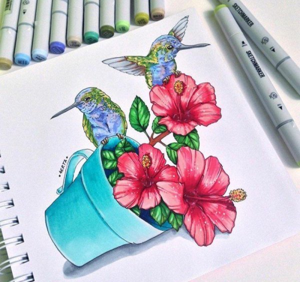 Скетчинг маркерами Колибри