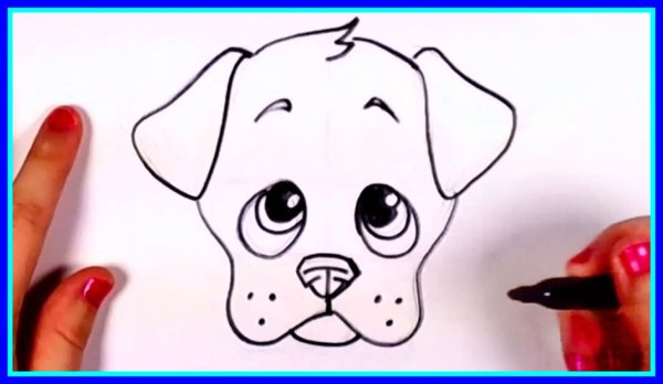 Легкая морда собаки