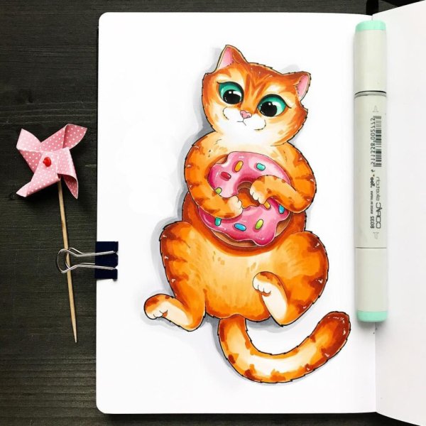 Кот скетч маркерами