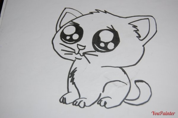 Котенок рисунки для срисовки ручкой