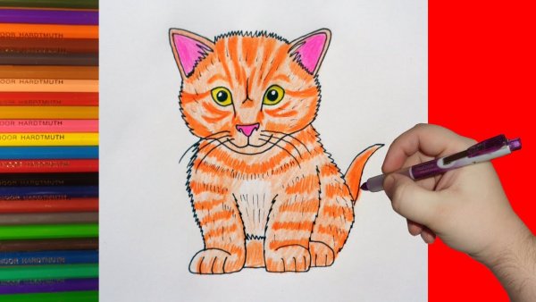 Рисование для детей маркерами котки