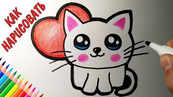 Кот фломастером легко