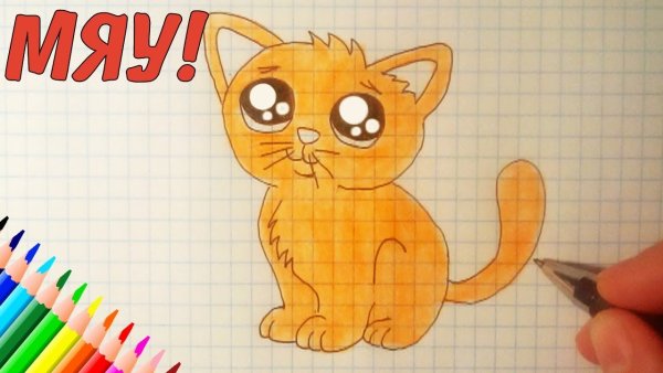 Рисунок кота в тетради