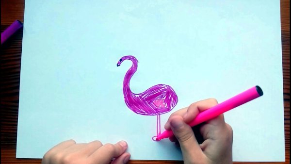 Фламинго фломастерами
