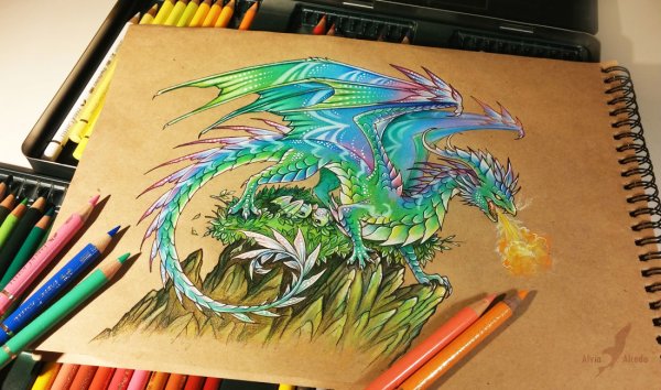 Рисунки драконов Alvia Alcedo