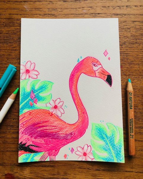 Фламинго рисунок карандашом для срисовки