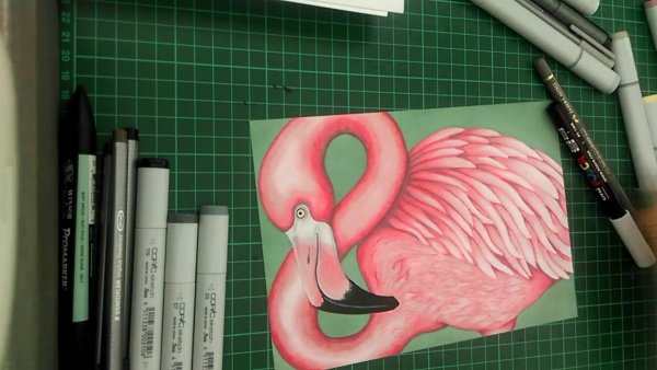 Фламинго маркерами