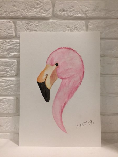 Скетчбук. Фламинго