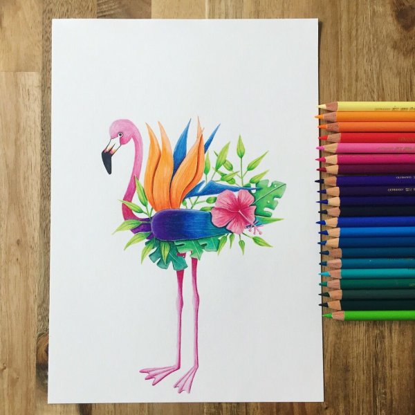 Фламинго маркерами