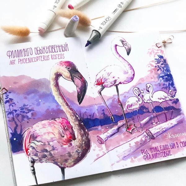 Фламинго рисунок маркерами