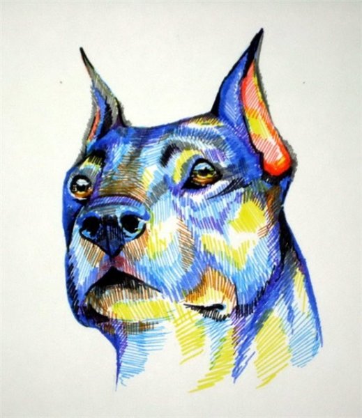 Кэти Липскомб (Katy Lipscomb) рисунки