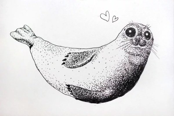 Рисунки тюленя для срисовки