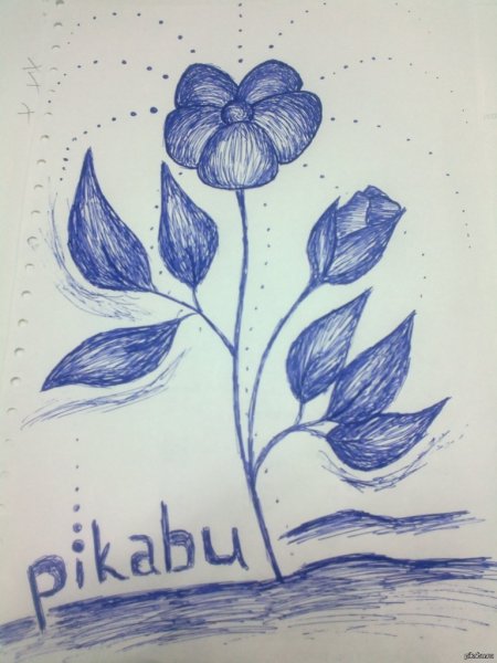 Рисунки ручкой цветы