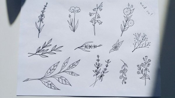 Тату веточки простые