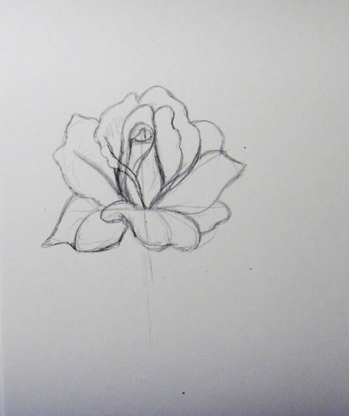 Цветок ручкой пошагово