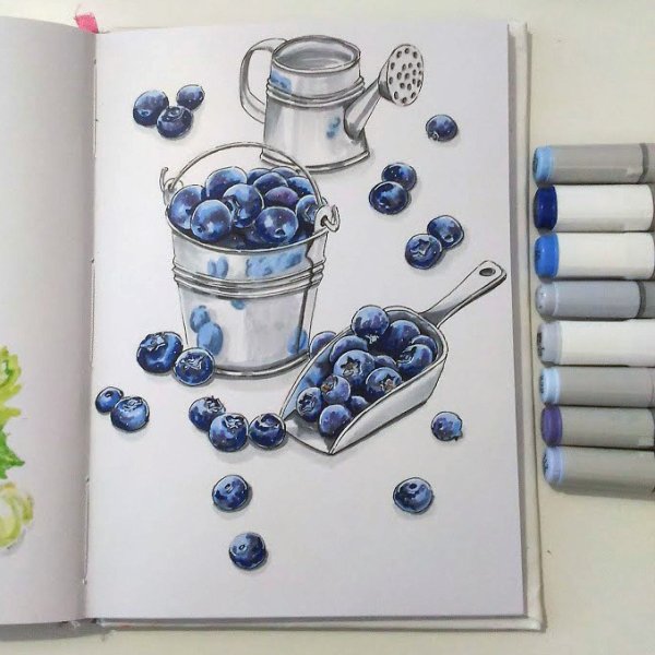 Рисунки для срисовки маркерами ягоды