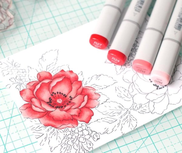 Цветы маркерами Copic
