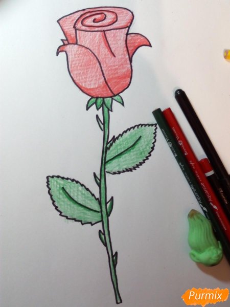 Детские рисунки розы карандашом