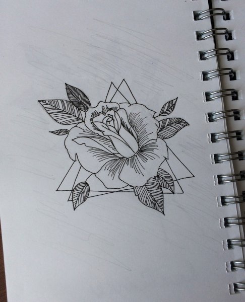 Цветы для скетчбука карандашом