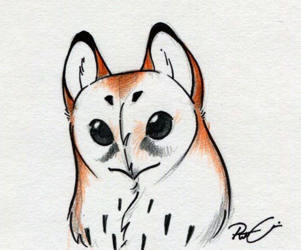 Рисунки для срисовки