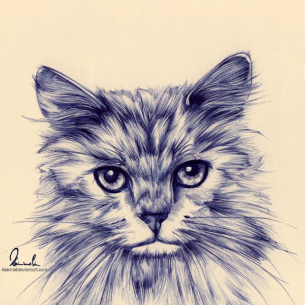 Ручка с котиком