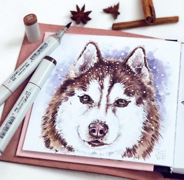 Кролик маркерами для скетчинга