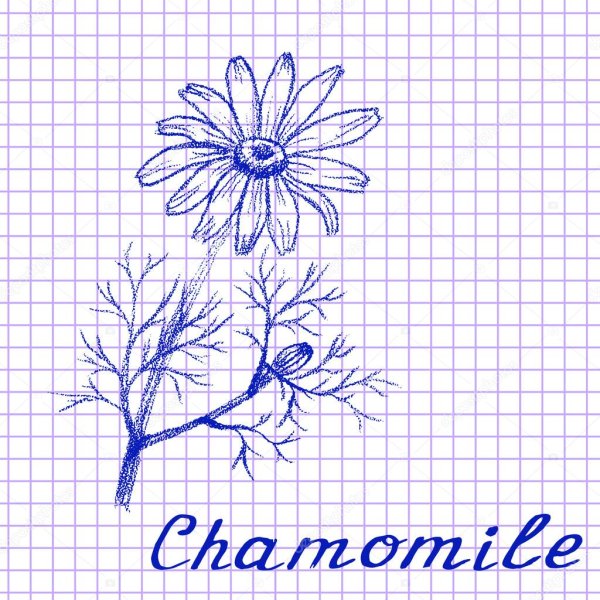 Фото нарисовать ручкой