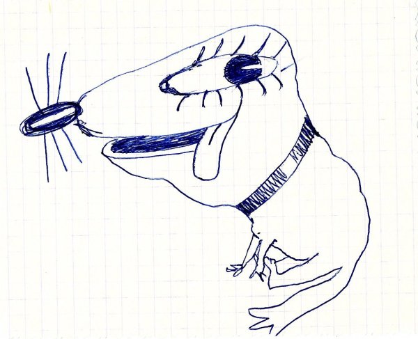 Собака ручкой в тетради