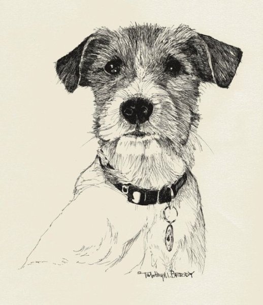 Собака тушью