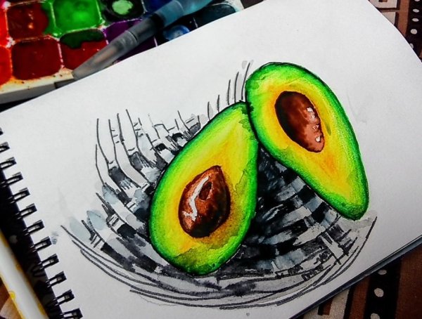 Авокадо скетч