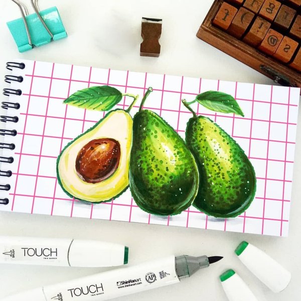 Авокадо для скейтч бука