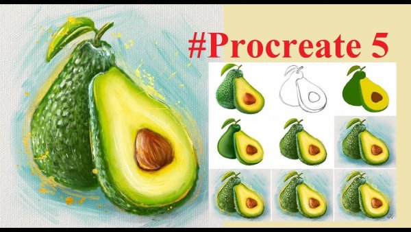 Авокадо рисунок карандашом