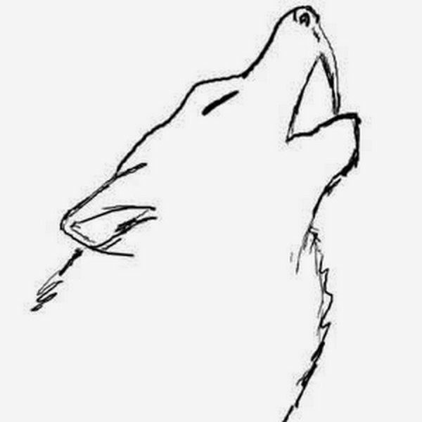 Волк ручкой рисунок легкий