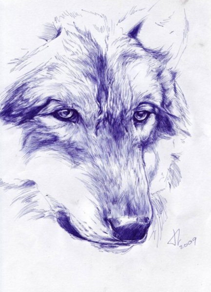 Животные шариковой ручкой