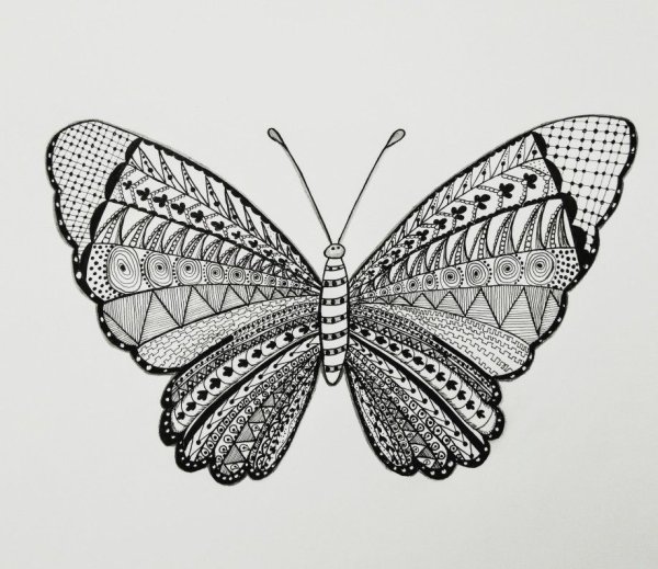 Графический рисунок бабочки