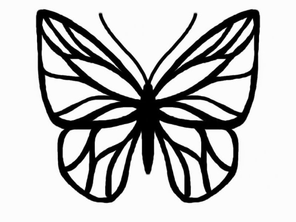 Контур бабочки трафарет