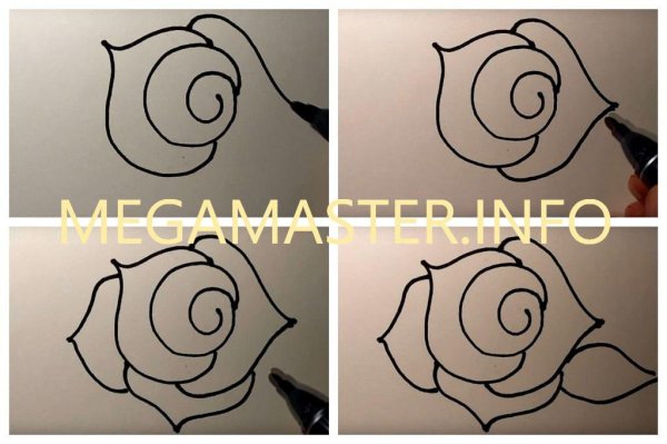 Рисунок ручкой для начинающих пошагово