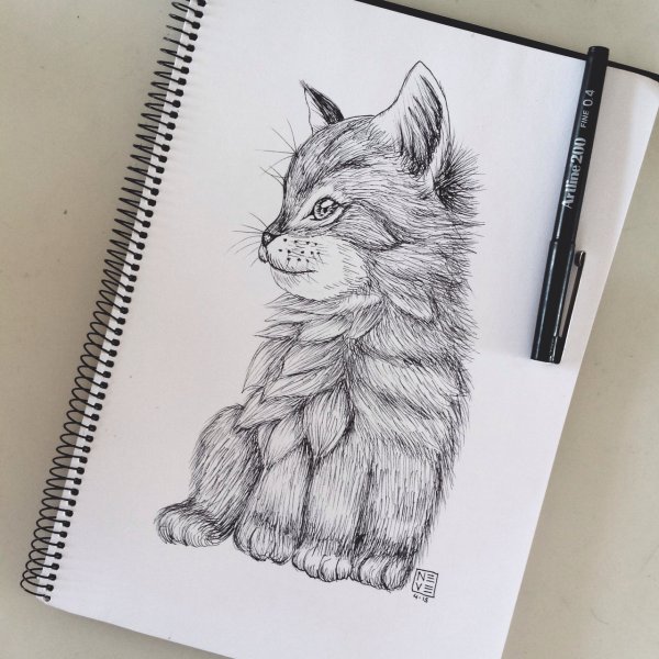 Рисование в скетчбуке животных