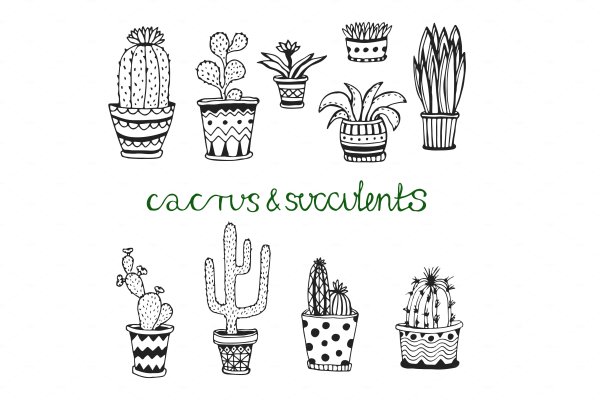 Рисунки для срисовки растения