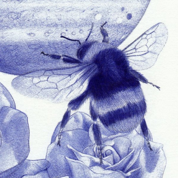 Рисунки синей ручкой