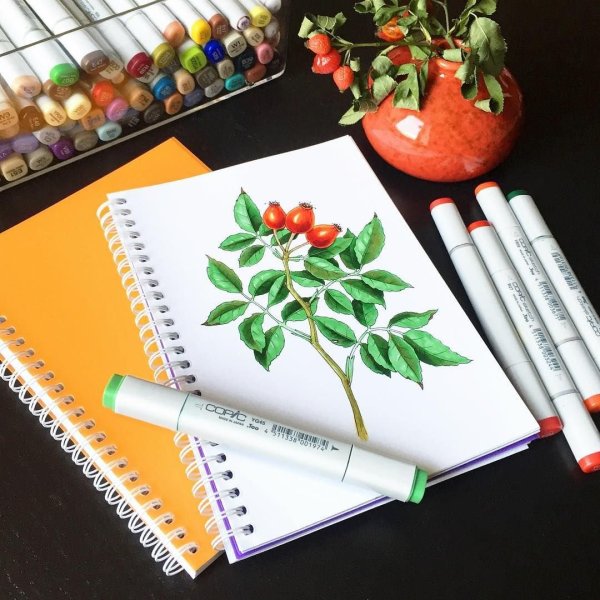 Маркеры для рисования