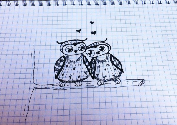 Рисунок ручкой для начинающих